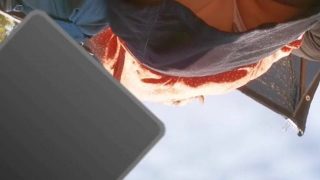 【逆さ撮り】野外フェスに来たお姉さんのTバックパンティーをスマホで盗撮