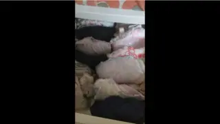 【自宅】妹の部屋にこっそり侵入して下着ボックスをスマホで盗撮